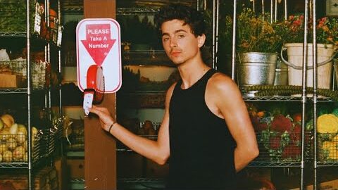 CASH APP FT. TIMOTHÉE CHALAMET