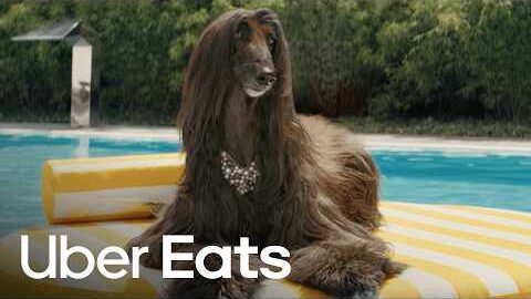 HOT DOGS